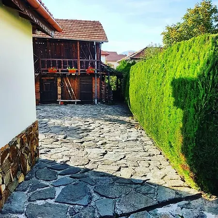 Leventy Vilă Banea